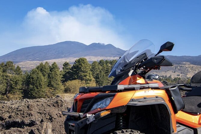 1 1/2 - 2 Hours Guided Excursion of Etna by Quad - Pine forest and the dry streambed