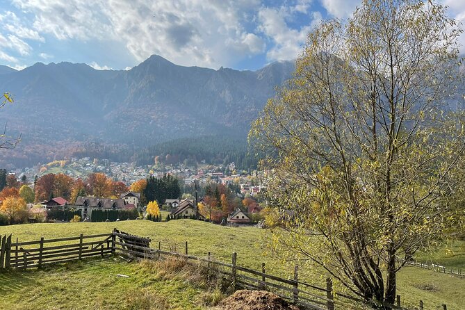 1 Day ATV Tour in Carpathian Mountains - Why the small group matters