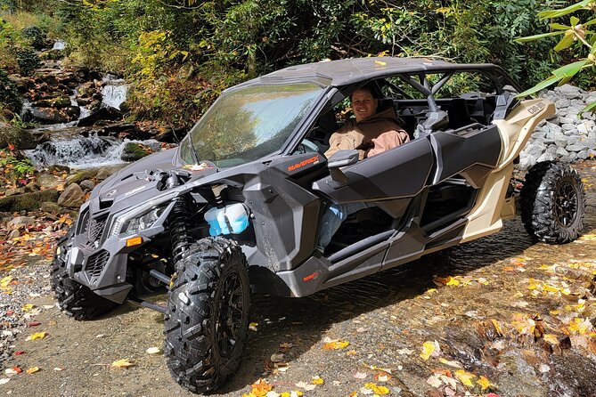 2.5-3 HR Guided Scenic UTV Adventure - Wildlife, plants, and the best time to ride