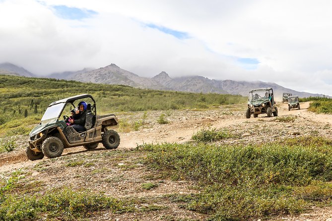 2.5-Hour Denali Wilderness ATV Adventure Tour - Getting Comfortable Before the Trail