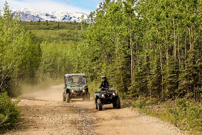 2.5-Hour Denali Wilderness ATV Adventure Tour - Price and Practical Value at $145.99