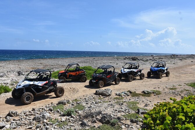 2-Hour Buggy Adventure Tour in Curacao - Koraal Tabak is the roughest part of the route