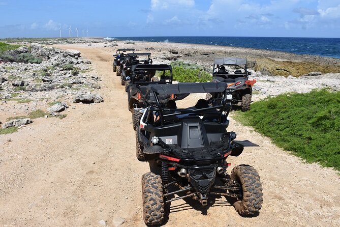 2-Hour Buggy Adventure Tour in Curacao - Price, timing, and what you receive for $170