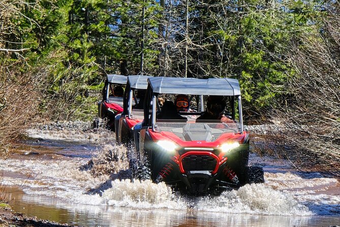 2 Hour High Cascades Scenic ATV Tour in Bend Oregon - What the $450 group price really means
