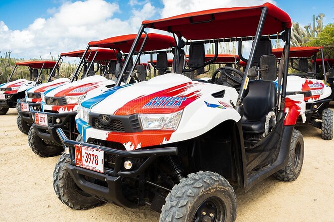 2-Seater UTV Island Tour in Aruba - What four hours on an Aruba UTV really feels like