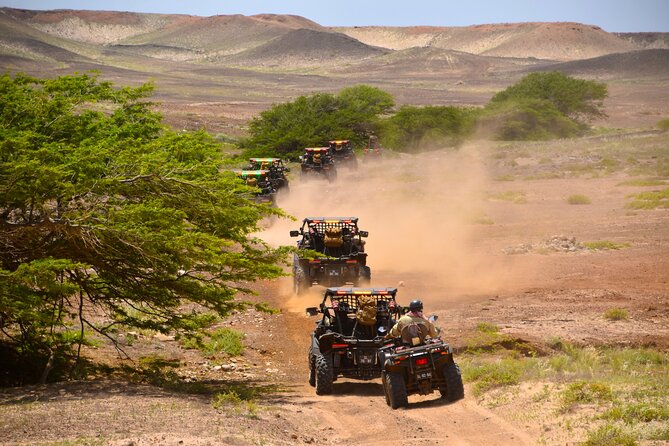 2h SSV Buggy Desert Adventure - 1000cc or 500cc - Kite Beach and the changing coast