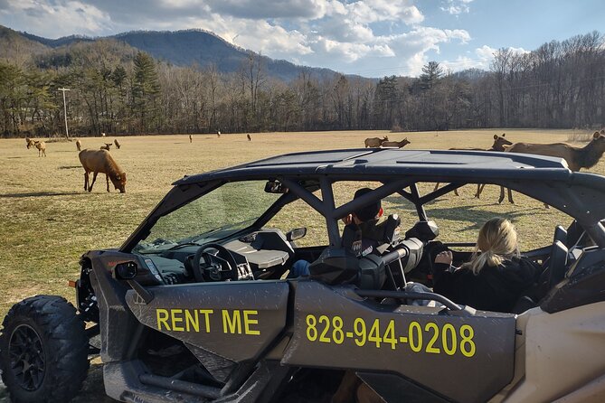 3-3.5 HR UTV ECO Elk Wilderness Adventure - What the 15-mile trail ride feels like