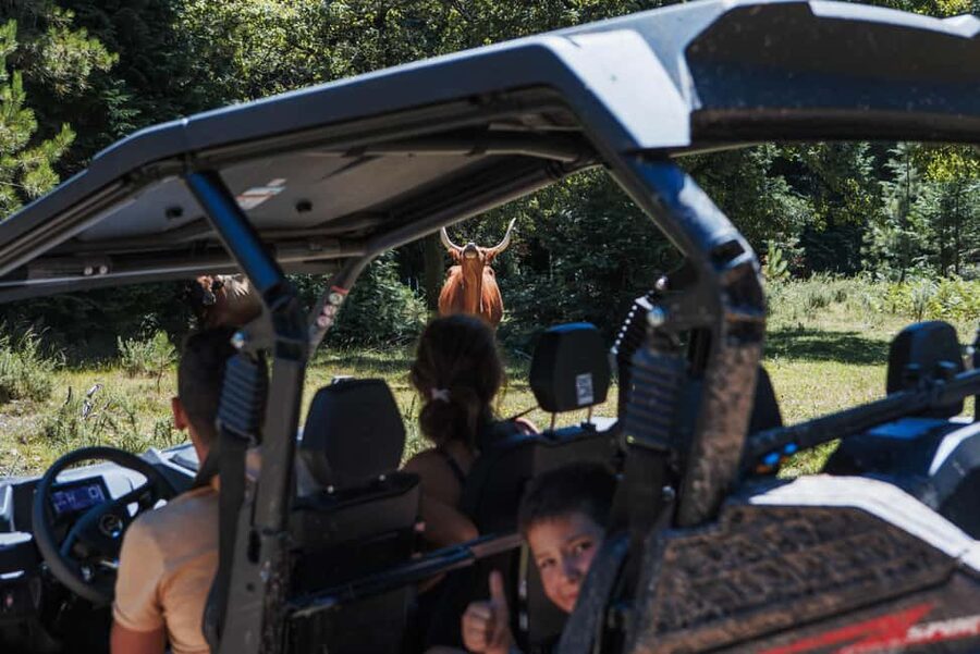 3.5h Buggy Tour • Arcos de Valdevez • Peneda Gerês - Why this route feels different from a standard sightseeing trip