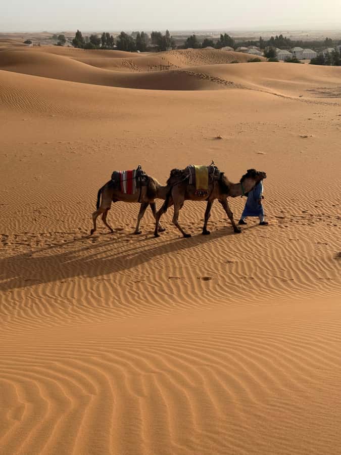 3-Day luxury Adventure: Marrakech to Merzouga incl.Quad/show - The quad ride and the morning departure