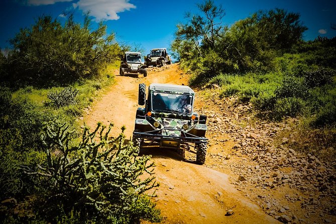 3 Hour Guided TomCar ATV Experience in Sonoran Desert - Morning or afternoon, sun or rain