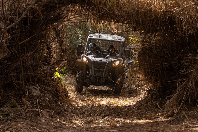 3-hour tour by Buggy or Quad in the Algarve - Is $105.13 a fair price?