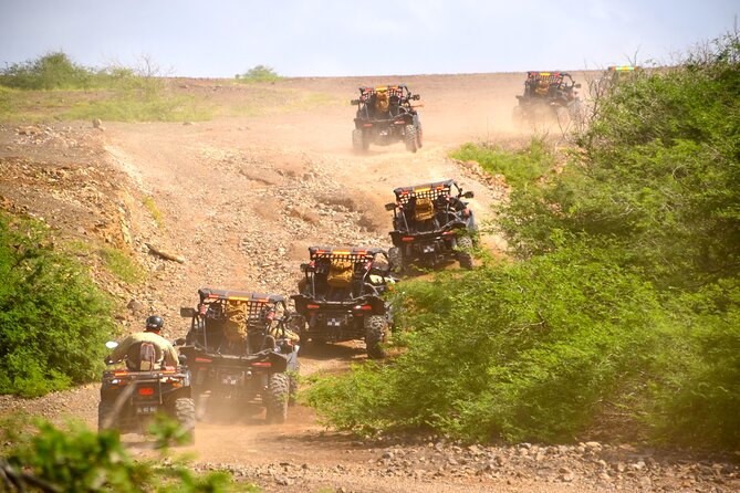 4h SSV Buggy Island Adventure - 1000cc or 500cc - Terra Boa and Sal’s desert mirage