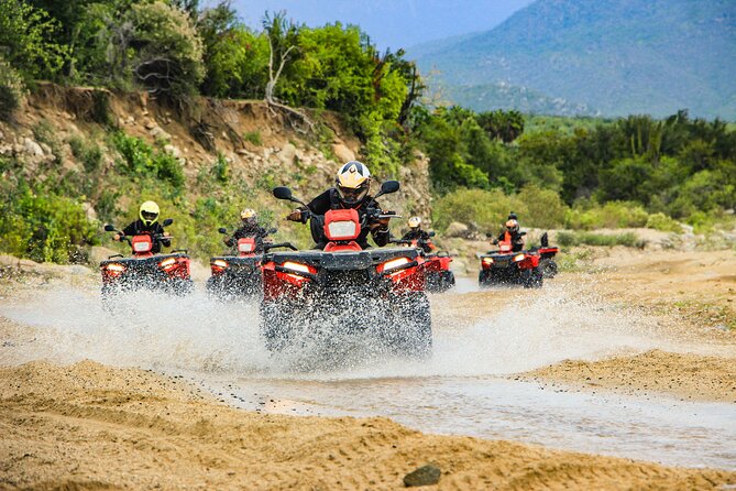 4x4 ATV Adventure with Tequila Tasting and Mexican Buffet Lunch - Quick points to know before booking