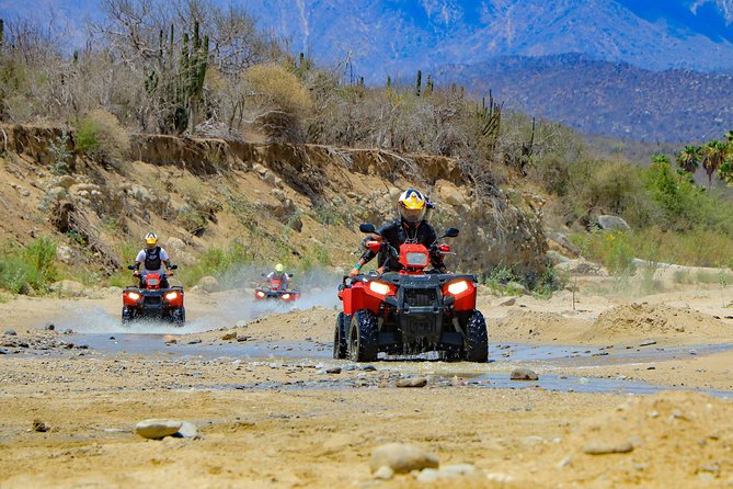 4x4 ATV Adventure with Tequila Tasting and Mexican Buffet Lunch - Lunch with Pacific views