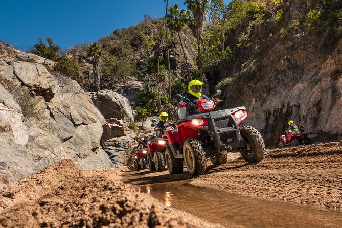 4x4 ATV Adventure with Tequila Tasting and Mexican Buffet Lunch - What the tequila and mezcal tasting really includes