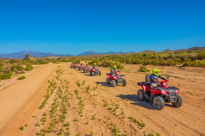 4x4 ATV Adventure with Tequila Tasting and Mexican Buffet Lunch - Is $75 a good deal?