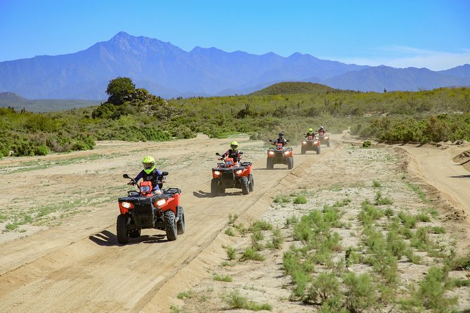 4x4 ATV Adventure with Tequila Tasting and Mexican Buffet Lunch - Who will enjoy this outing most?