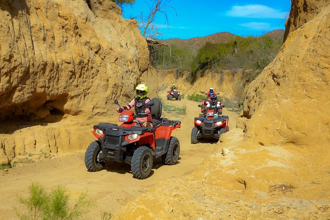 4x4 ATV Adventure with Tequila Tasting and Mexican Buffet Lunch - Practical tips for a smoother day