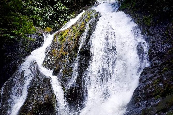 5 Hour Off-Road ATV+ Zipline+ Waterfall Rappelling+ Tractor Jungle Tour - Who will enjoy this Ocean Ranch combination?