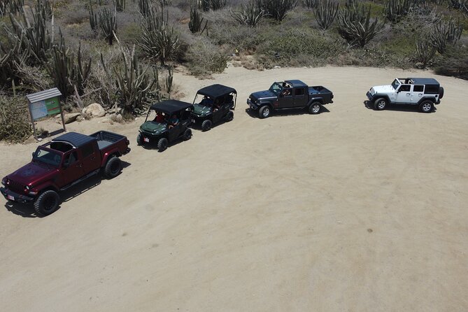 5 seat UTV Rental - Five seats, comfort, and vehicle choice