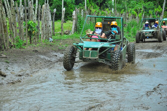 5 tours in 1 (Eco Farm/Horseback/City Tour/Buggy/Zipline) - Starting with coffee, cocoa, and Dominican farm life