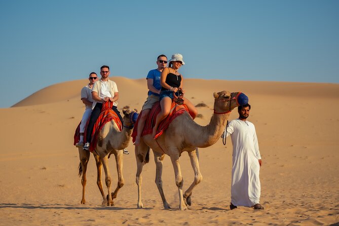 Abu Dhabi Evening Desert Safari - Dune bashing Camel ride and BBQ - Key points at a glance
