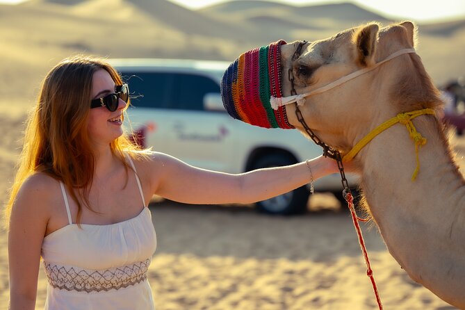 Abu Dhabi Evening Desert Safari - Dune bashing Camel ride and BBQ - From Abu Dhabi city to open sand by 3 pm