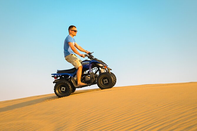 Abu Dhabi Evening Desert Safari - Dune bashing Camel ride and BBQ - Meeting camels at the farm