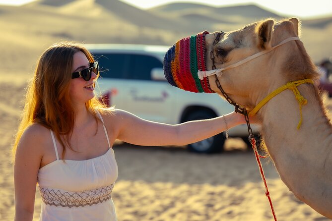 Abu Dhabi Evening Desert Safari - Private car Dune bashing & BBQ - The $495 private price and what you receive