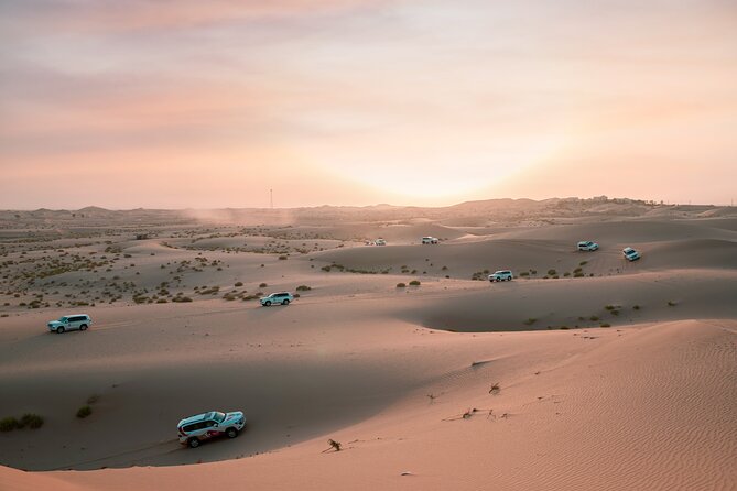 Abu Dhabi Morning Desert Safari: 4x4 Dune Bashing, Camel Ride and Sandboarding - Key points to know before you book
