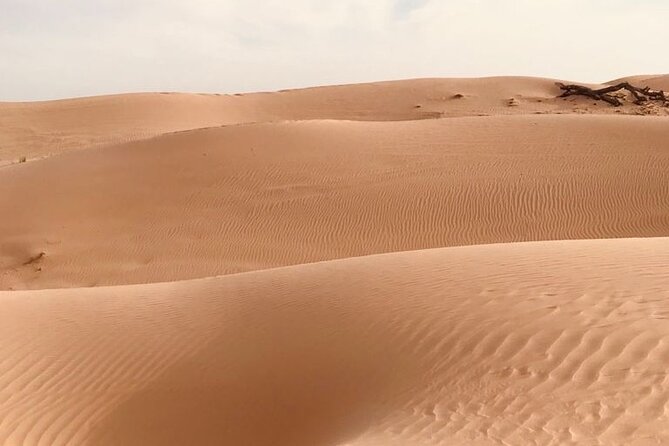 Abu Dhabi Morning Desert Safari,Dune Bashing,Sandboarding,Camel Riding&Quad Bike - A short camel ride at the campsite