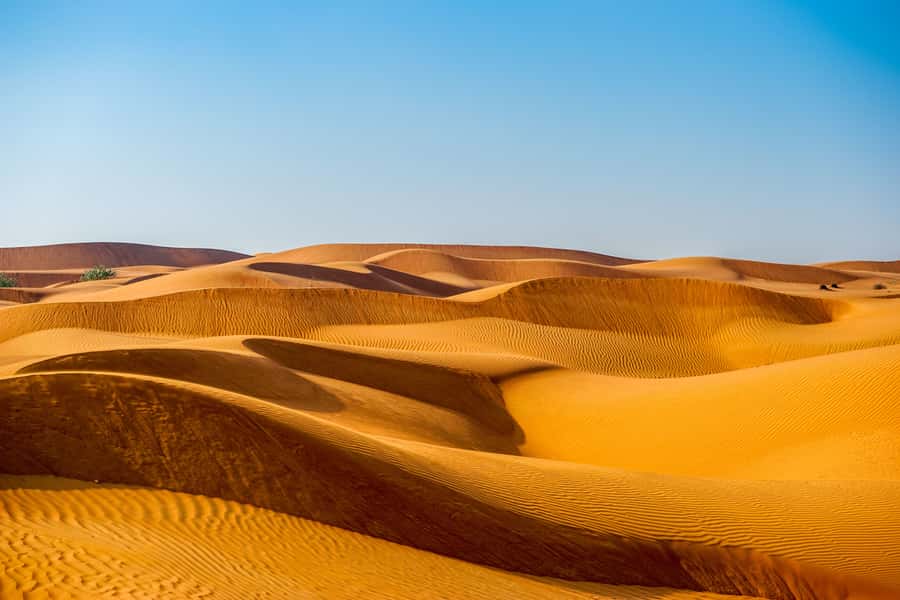 Abu Dhabi Traditional Desert Camp Experience And Quad Bike - Sunset over the Abu Dhabi dunes
