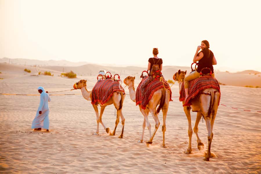 Abu Dhabi Traditional Desert Camp Experience And Quad Bike - Dune bashing with room for excitement