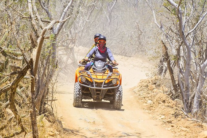 Adventure in Los Cabos Margaritas beach in ATV/UTV desert tour - What makes Margaritas Beach worth the ride
