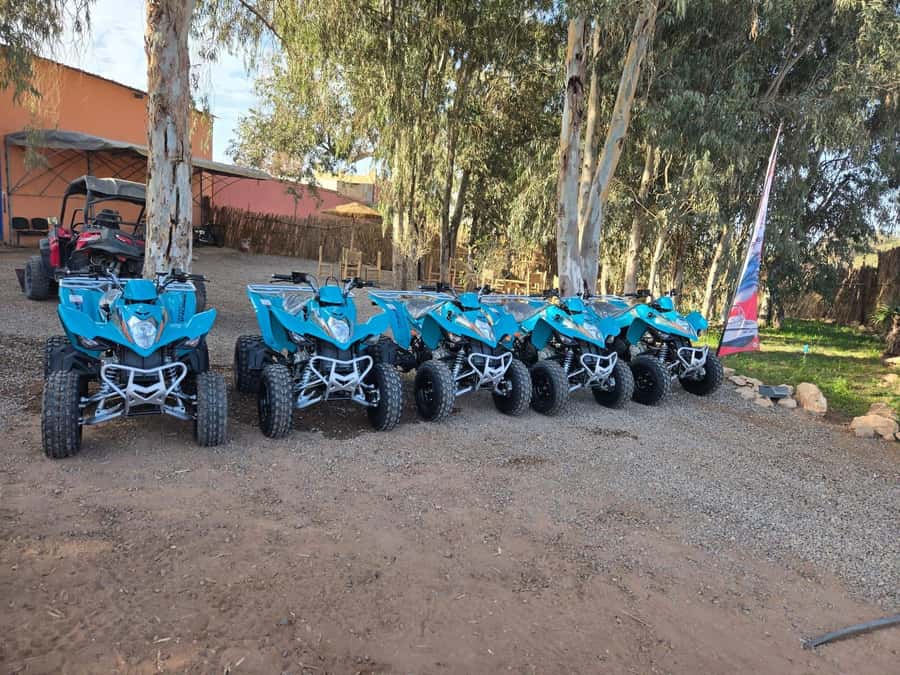 Agadir : 2 h Quad biking excursion with moroccan tea - Sand dunes, rural tracks, and a national park setting