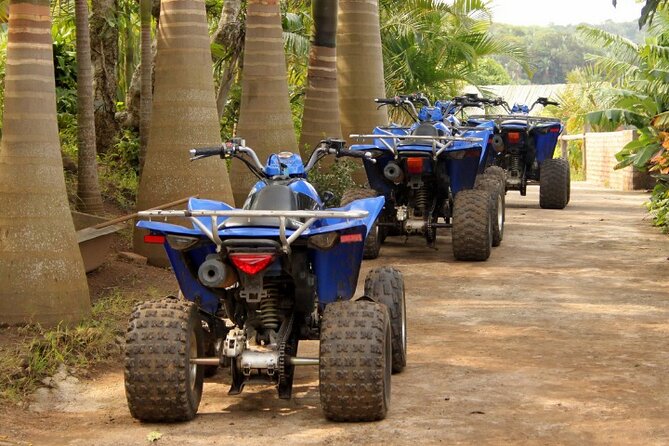 Agadir Adventure Tour with Quad Biking Experience - Booking, cancellation, and practical timing