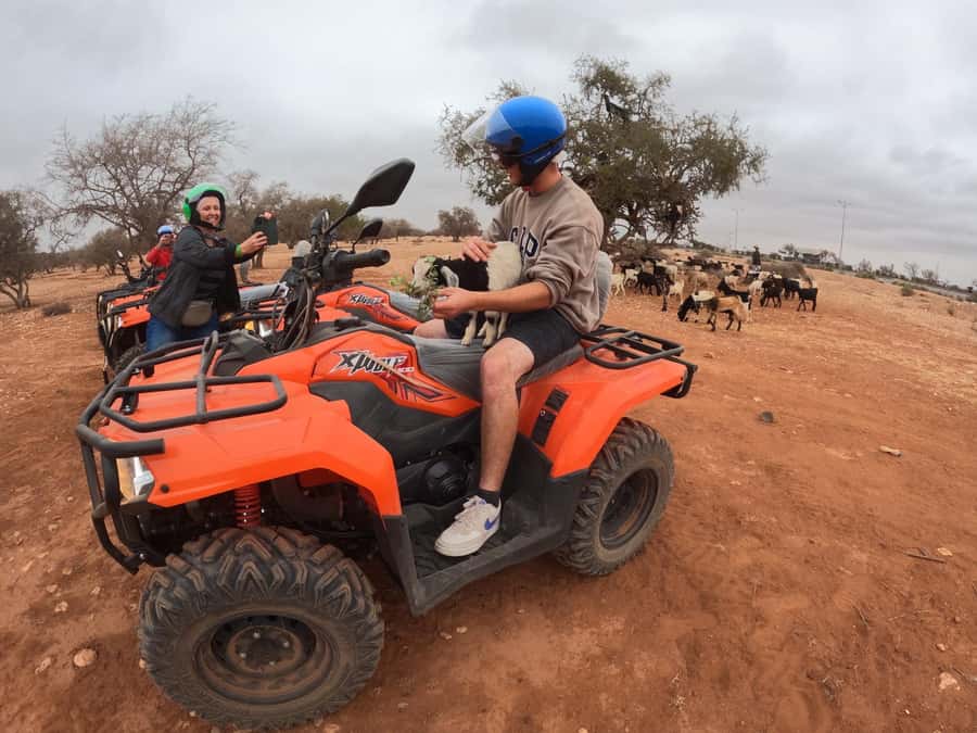 Agadir: Agafay Desert Quad Biking With Goats On The Tree - Hotel pickup and the drive to the camp