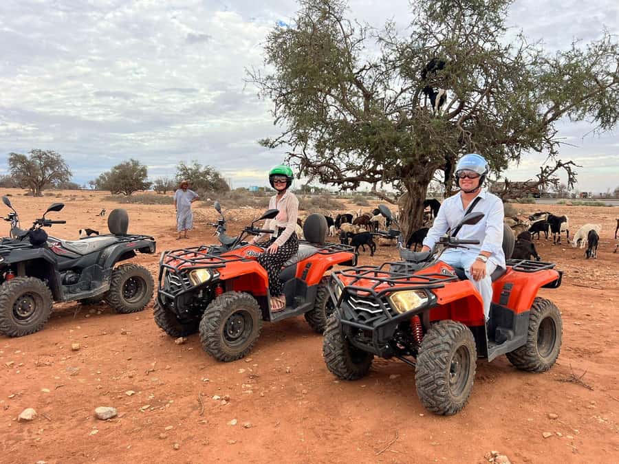 Agadir: ATV Quad Biking and Goats On Argan Trees with Tea - Key points at a glance