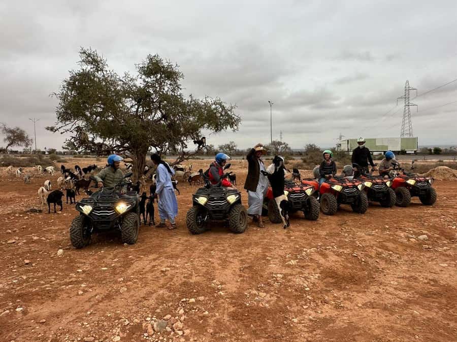 Agadir: ATV Quad Biking and Goats On Argan Trees with Tea - Mint tea under the Berber tent