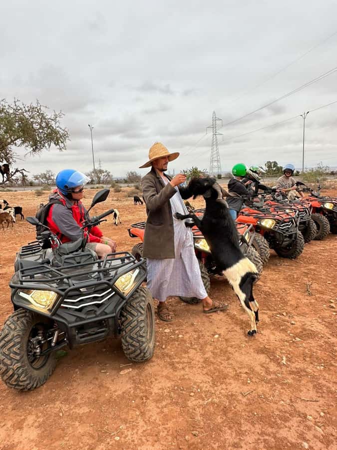 Agadir: ATV Quad Biking and Goats On Argan Trees with Tea - Guides, safety, and pace