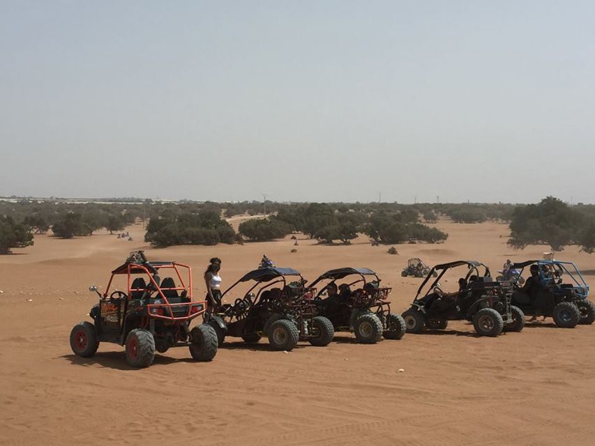 Agadir: Buggy Safari Adventure - Who Should Book This Experience?