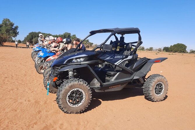 Agadir Buggy Safari Adventure - Argan trees, farms, and Berber villages