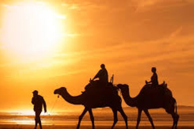Agadir Dune Quad Bike and Sunset Camel ride Adventure - Mint tea and snacks in Tamraght