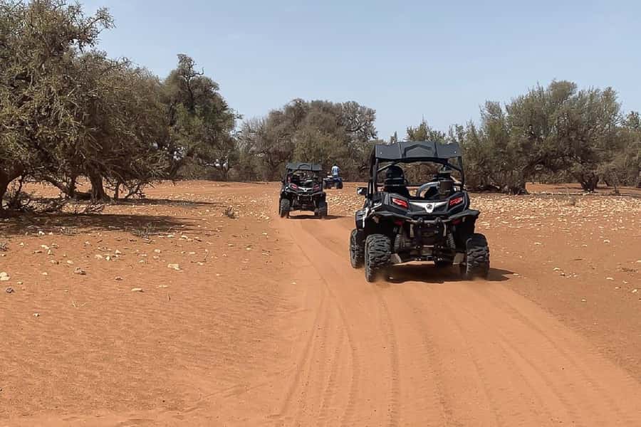 Agadir: Half-Day Desert Dunes Buggy Safari - Who should book this outing