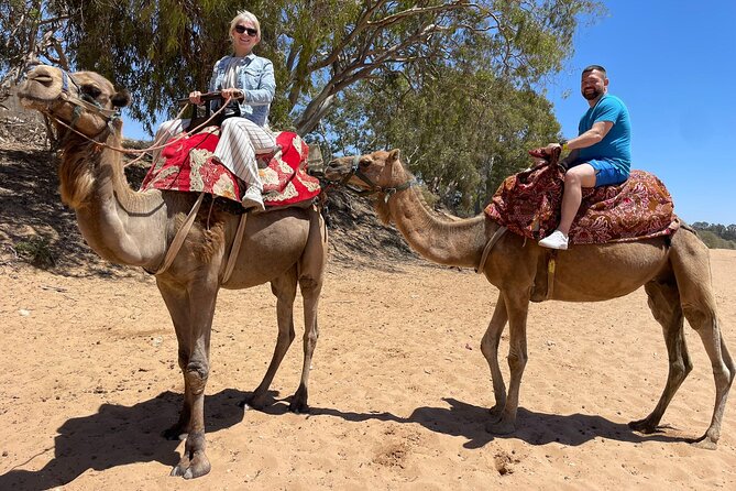 Agadir Quad ATV Adventure Tour with Berber Tea Experience - Should you book this quad tour?