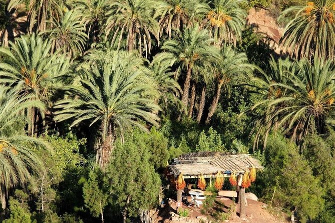 Agadir Quad Biking on the Beach & Sandboarding in the Desert - Is $30.38 a fair price?