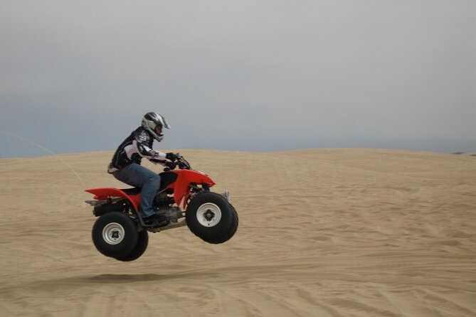 Agadir Quad Biking - Sand dunes, argan trees, and Berber countryside