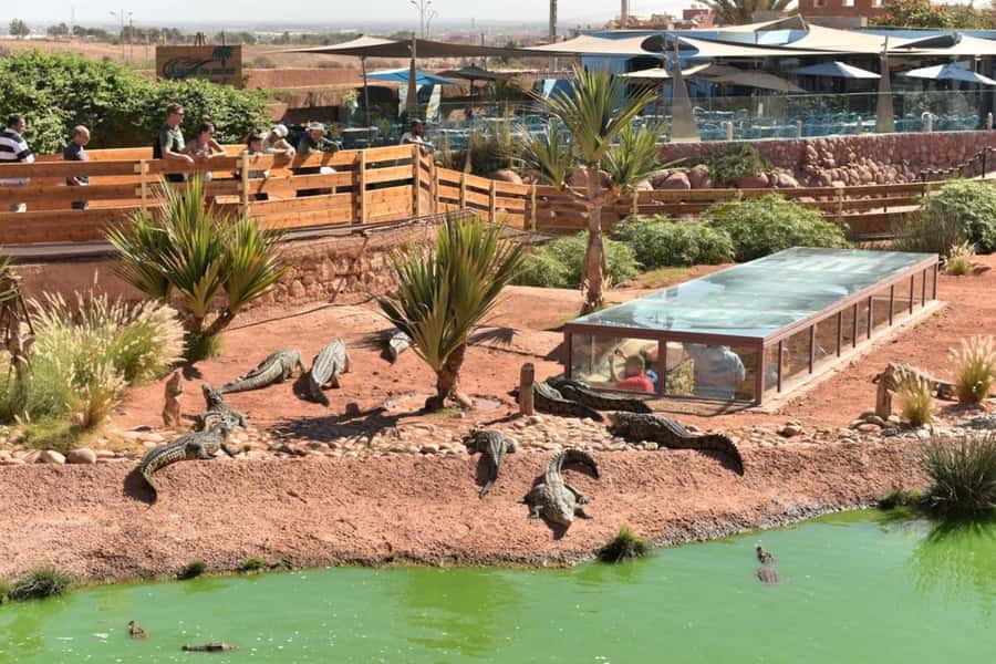 Agadir: Quad Safari with Crocoparc Optional - FAQ