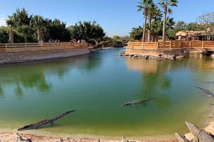 Agadir: Quad Safari with Crocoparc Optional - Crocoparc: crocodiles, gardens, and optional extras