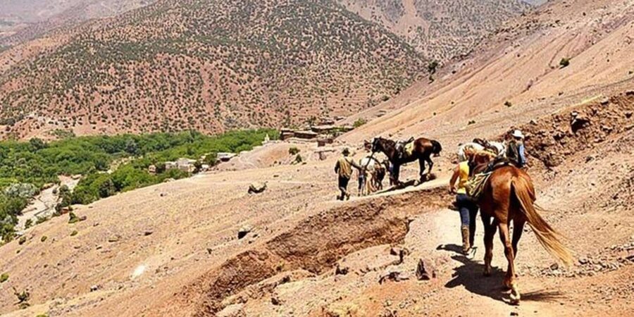 Agadir: Quad Safari with Crocoparc Optional - Is $29 good value?
